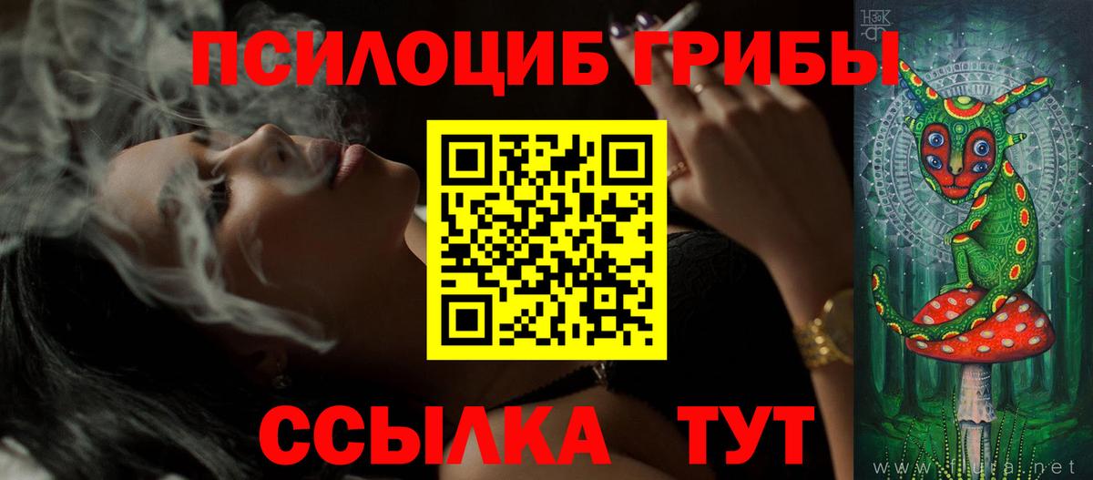 Псилоцибиновые грибы мицелий Шелехов